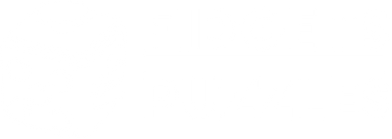 Fidgets & Puzzles