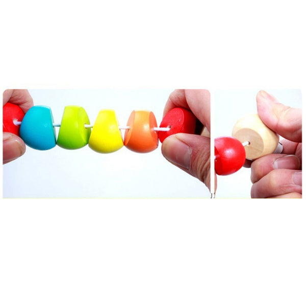 Insect Educational Wooden Toy