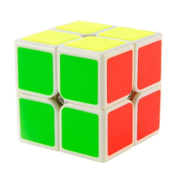 Professional Magic Cube